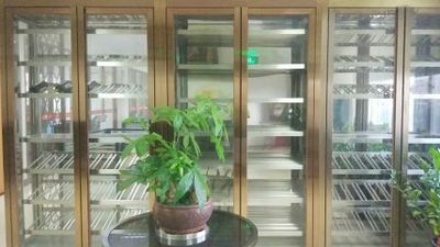 玫瑰金定制酒柜